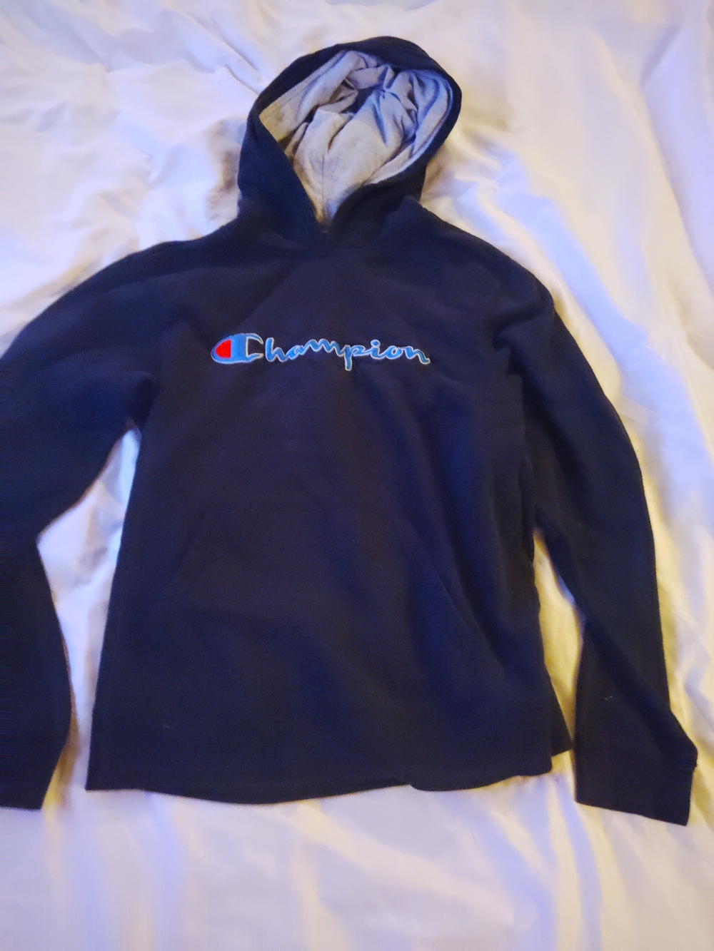 Champion Navy Logo Hoodie